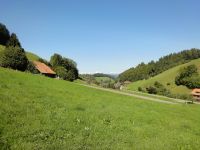 DSC03704